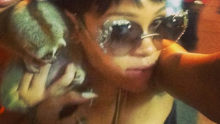Rihanna's Slow Loris Selfie Leads to Arrest of Exotic Animal Sellers